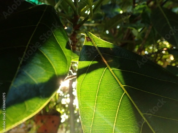 Fototapeta OLYMPUS DIGITAL CAMERA