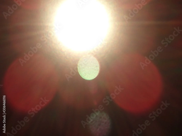 Fototapeta OLYMPUS DIGITAL CAMERA