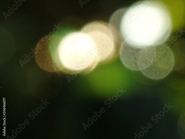 Fototapeta OLYMPUS DIGITAL CAMERA