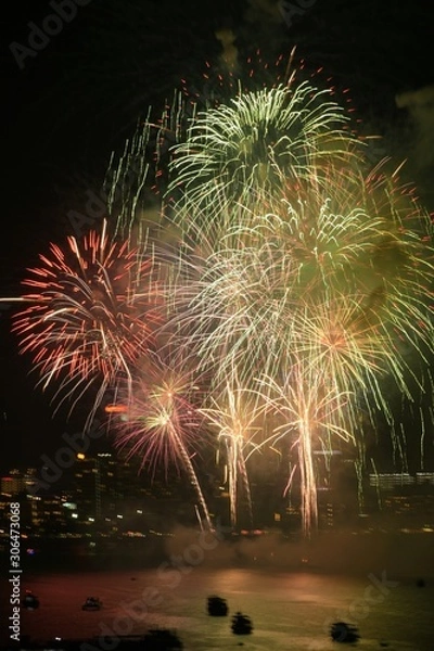 Obraz fireworks in the night sky