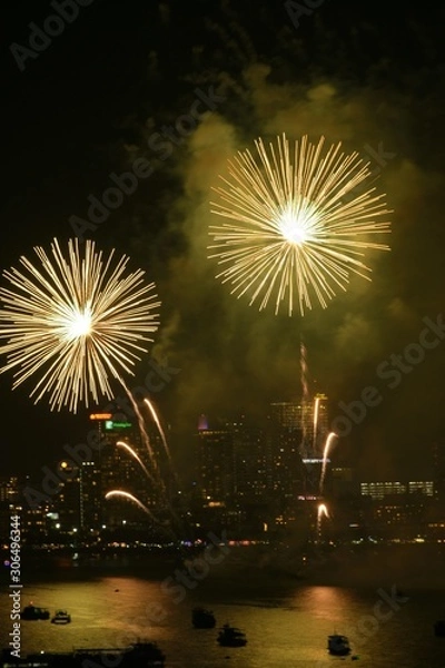 Obraz fireworks in the sky