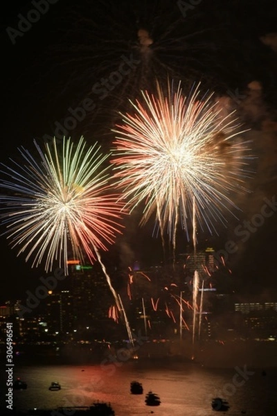 Obraz fireworks in the sky