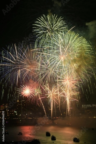 Obraz fireworks in the sky