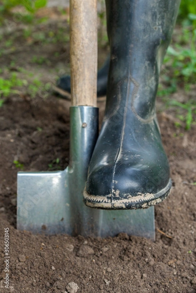 Fototapeta Foot in rubber boot on the metal spade