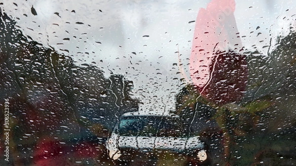 Fototapeta The mixed image of the view of the water on the glass and the view of the blooming Rose at the warm summer rainy day at the botanical garden. 