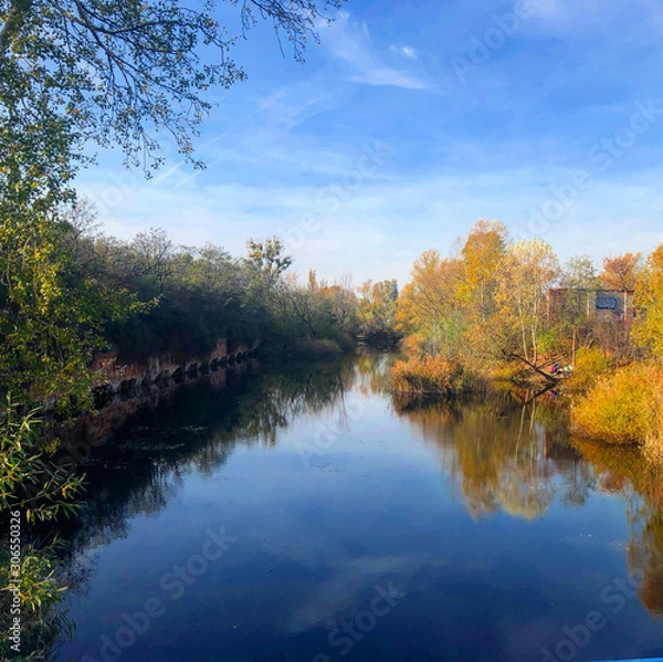 Fototapeta autumn landscape with lake and trees