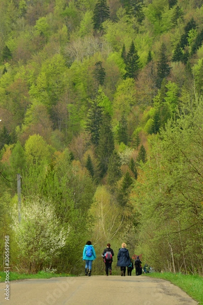 Fototapeta Bieszczady