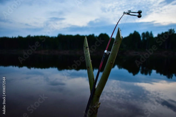 Fototapeta A fishing rod with a bell on the river in the evening in the summer. Fishing.