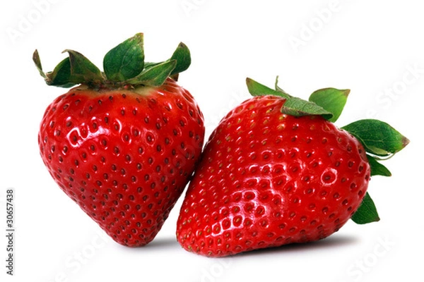 Obraz two fresh strawberries