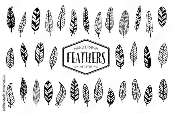 Obraz Set of hand drawn feathers. Ink illustration.