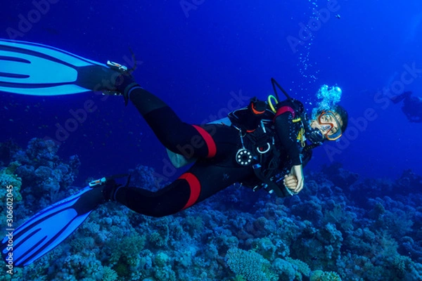 Obraz Scuba Diving the Red Sea, Egypt