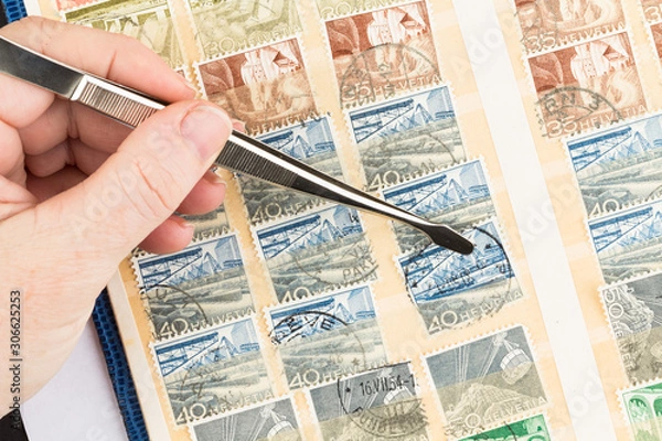 Fototapeta SEATTLE, WASHINGTON - MAY 29, 2019:  Hand holding tongs insets, or  removes, used duplicate  postage stamp  into a stock book