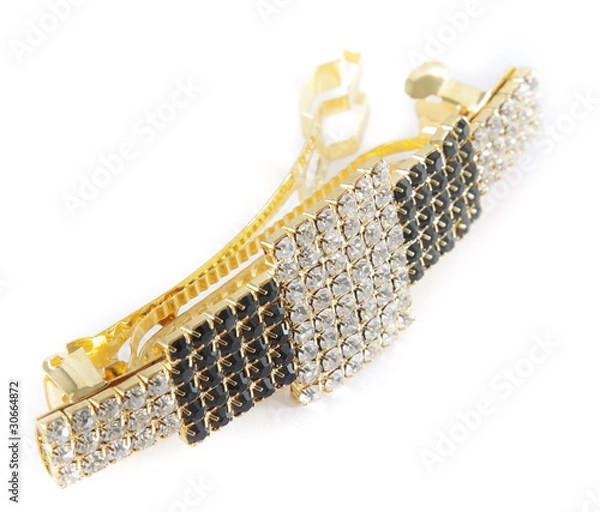 Obraz Yellow barrette