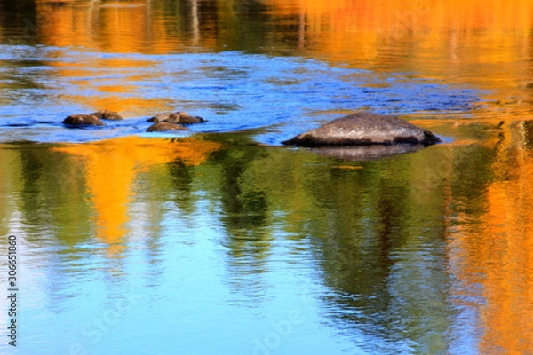 Obraz reflections in water