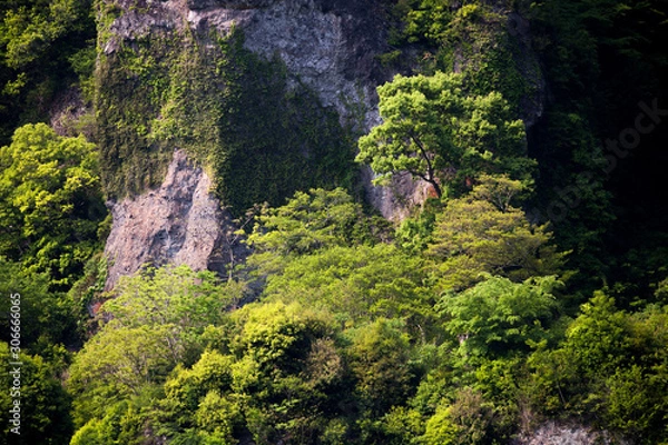 Obraz 新緑の耶馬渓