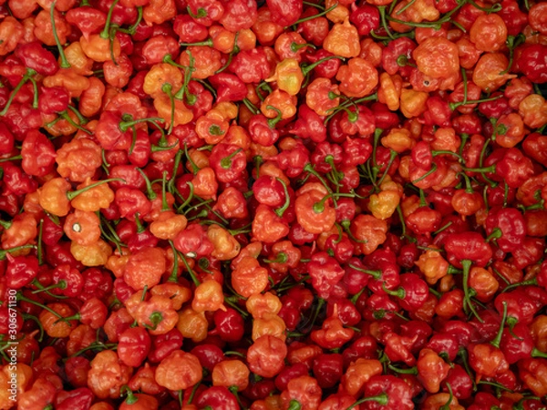 Fototapeta Red Grenada Peppers
