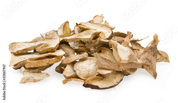Obraz Dried mashrooms