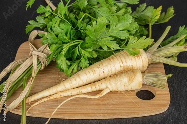 Fototapeta Group of two whole hamburg white parsley root on bamboo cutting board with straw rope on grey stone