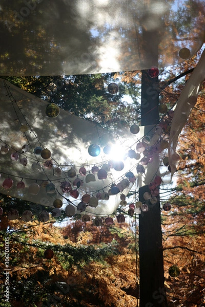 Fototapeta クリスマス