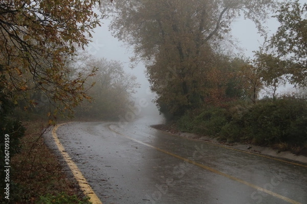 Obraz road in the forest