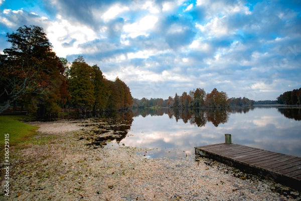 Obraz nulo sky and trees from the dock 