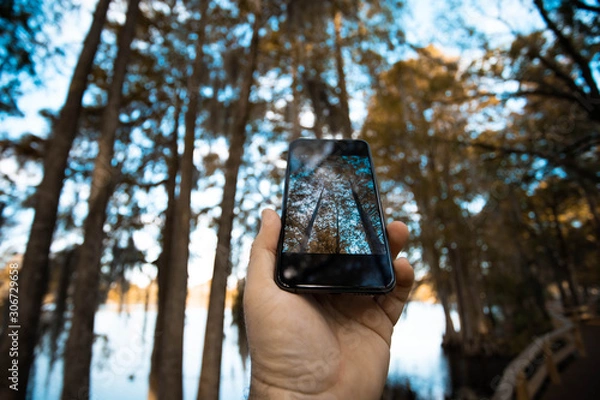 Obraz man holding smartphone 
