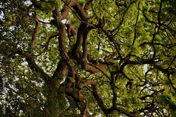 Fototapeta Where Does It End