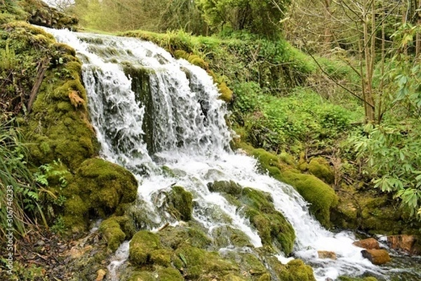 Obraz waterfall in forest