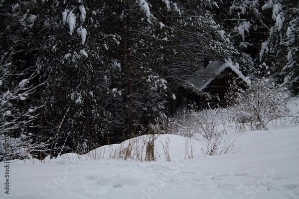 Fototapeta баня в зимнем лесу