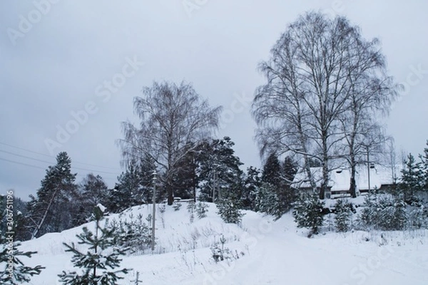 Obraz зимняя деревня