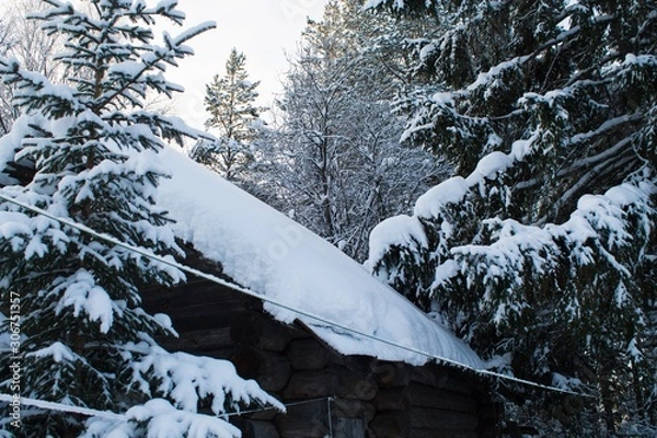 Fototapeta баня в снежном лесу