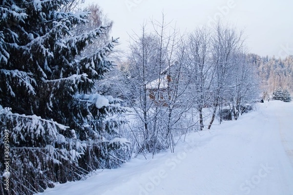 Obraz зимняя дорога в деревню