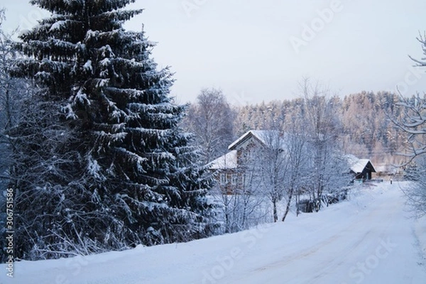 Fototapeta зимняя деревня