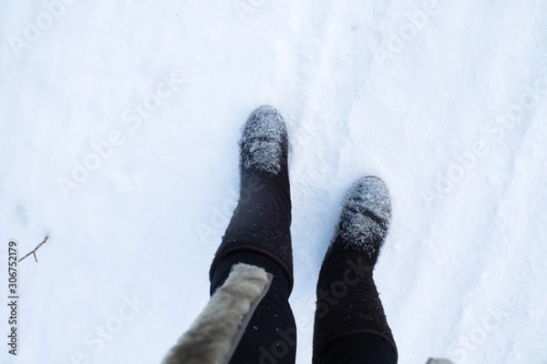 Obraz в зимнем лесу