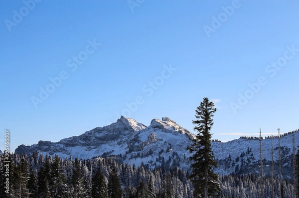 Obraz winter in the mountains