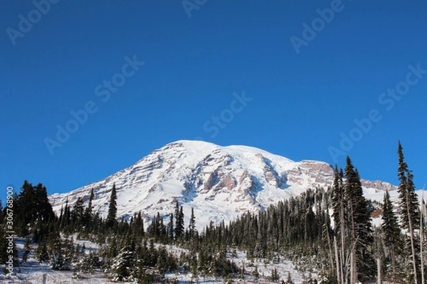 Obraz winter in the mountains