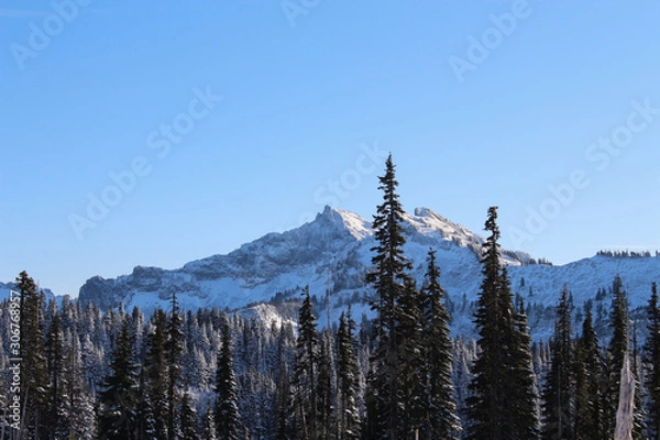 Obraz mountains in winter