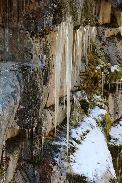 Obraz waterfall in forest
