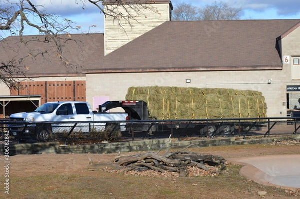 Obraz Delivering hay to a building