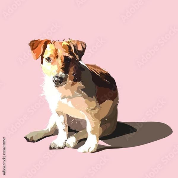 Obraz Portrait of a dog Jack Russell Terrier. The dog is sitting on a light background.