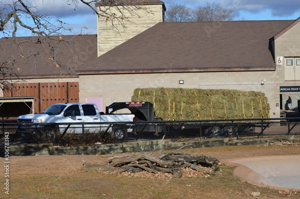 Fototapeta Delivering hay to a building