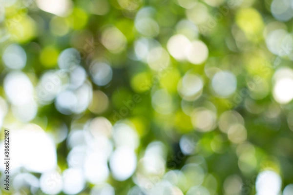 Obraz Bokeh background photos