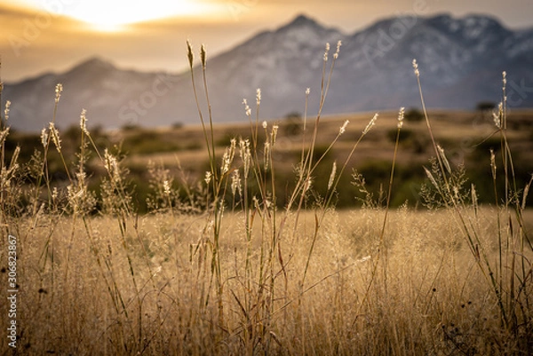 Obraz Grass and Mountain Background