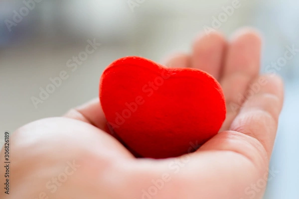 Obraz Holding a red heart