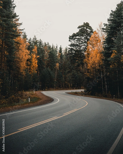 Obraz Autumn road