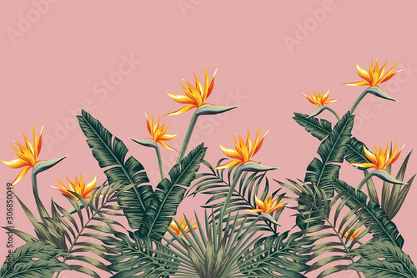 Fototapeta Bird of paradise flowers on pink background