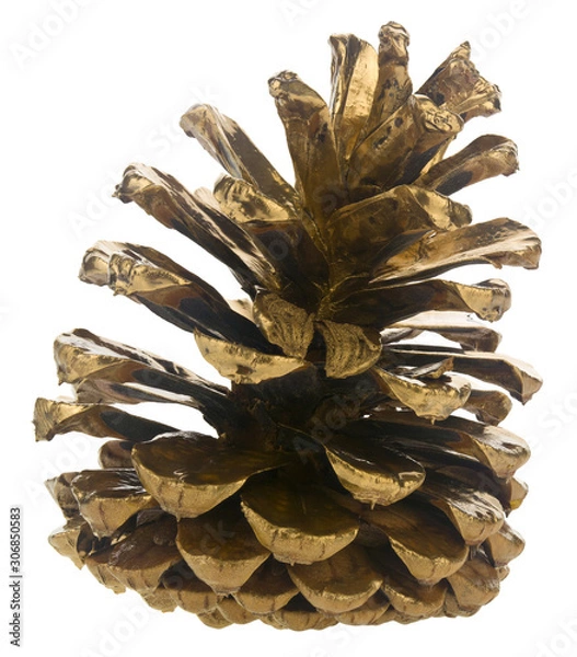 Fototapeta Golden bump isolated on a white background.