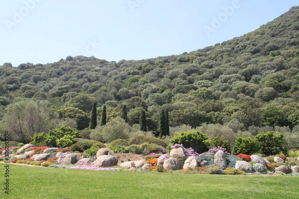 Obraz Parc de Saleccia