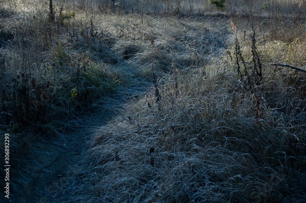 Fototapeta morning frost on the grass