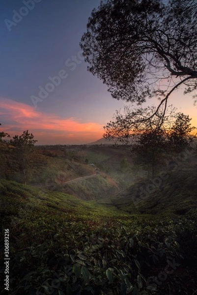 Obraz Colorful Landscape 